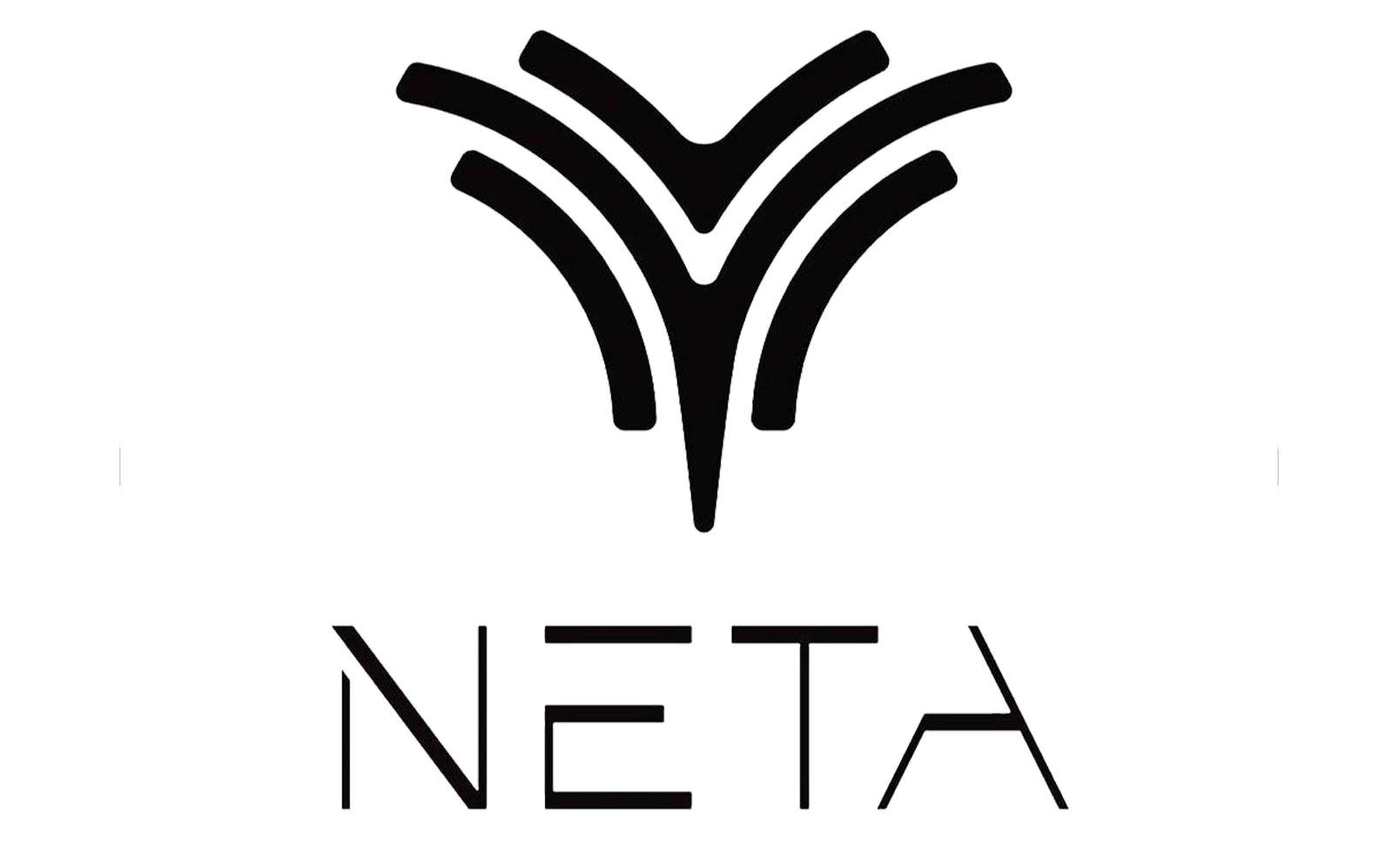 Neta_logo.png